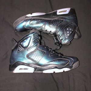 Jordan 6 Chameleon